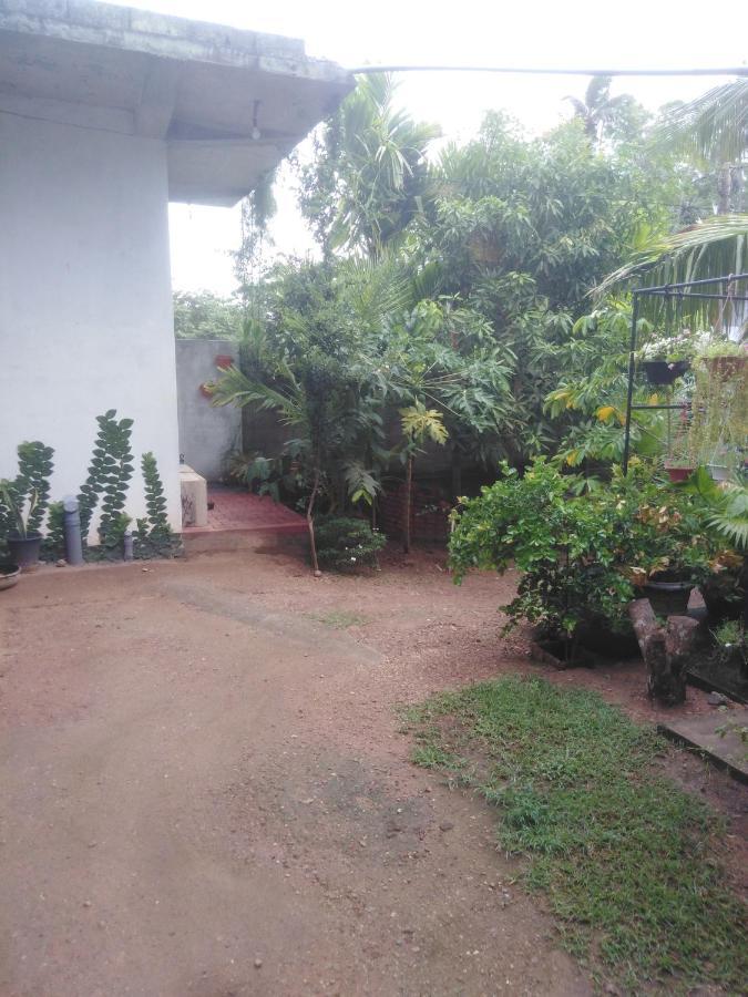 Loku Mirissa Hotel Exterior photo